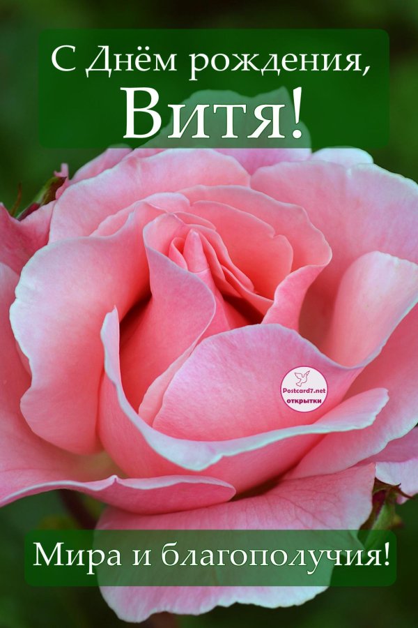 с днем рождения виточка