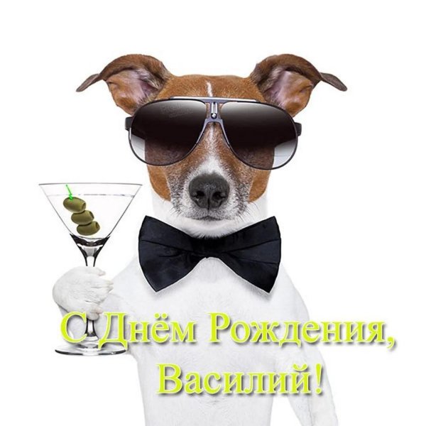 с днём рождения тимофей