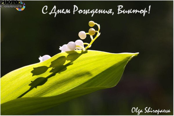 ландыши майские