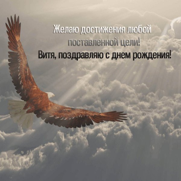 орел в небе