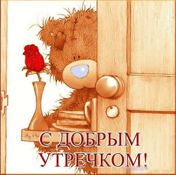 мишка тедди