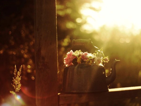 изображения для вдохновения