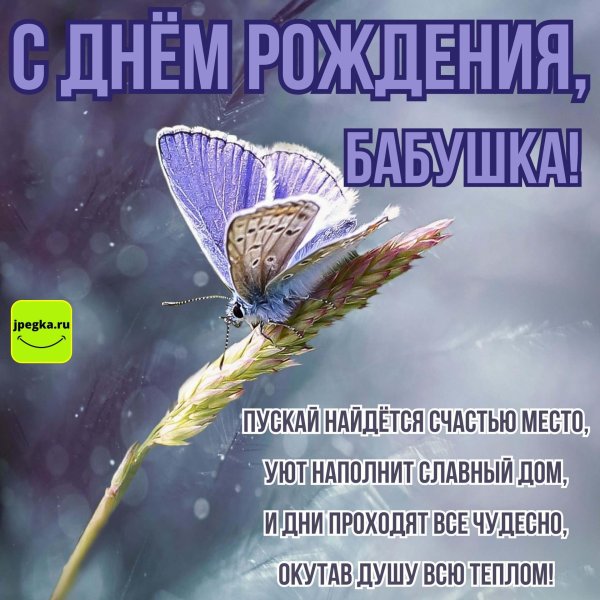 голубянка икар бабочка