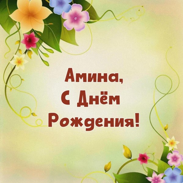 с днем рождения амина