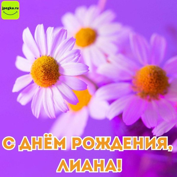 с днем рождения лианочка