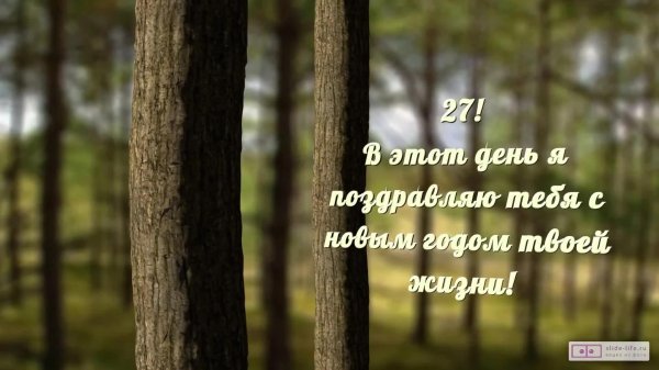 с днем леса