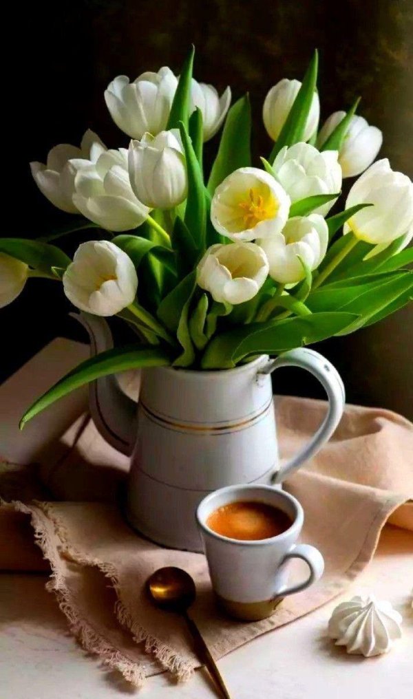 тюльпаны и кофе