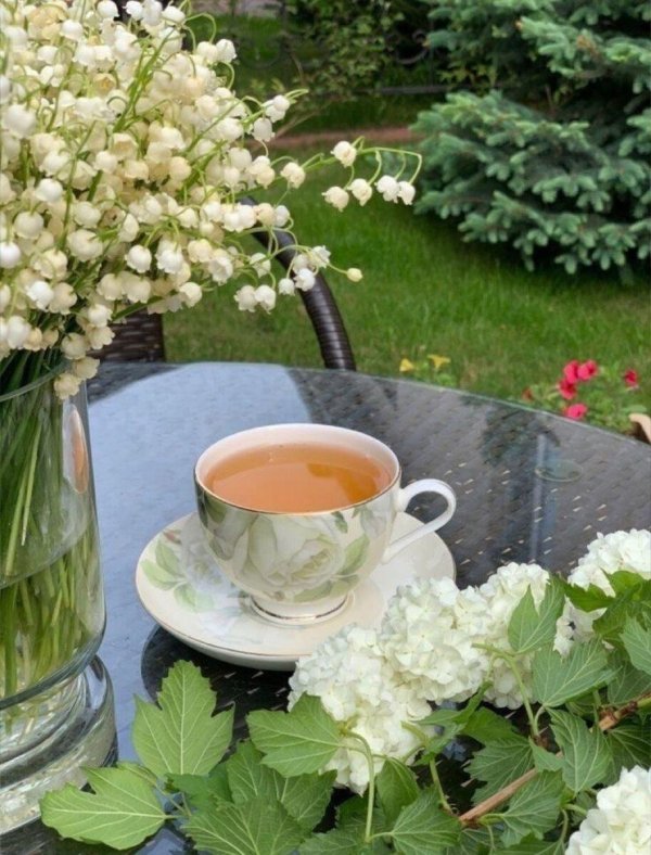 ландыши и чай