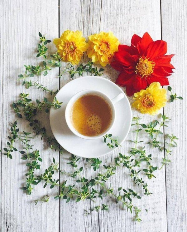 красивая чашка чая