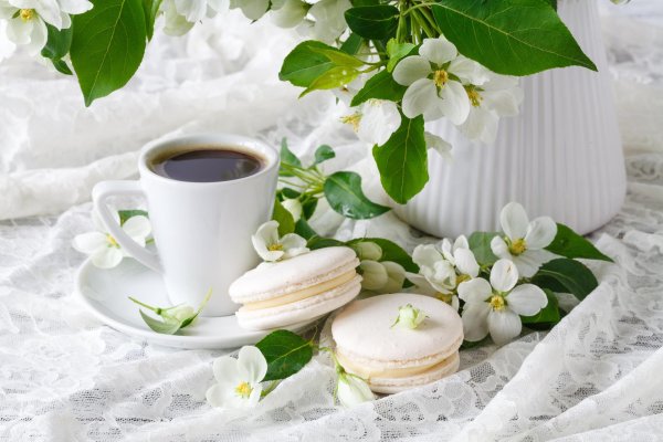 добрейшего весеннего утра