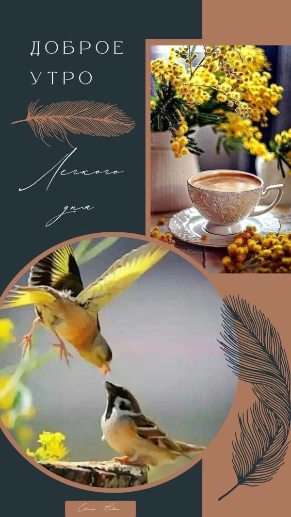 добра утра
