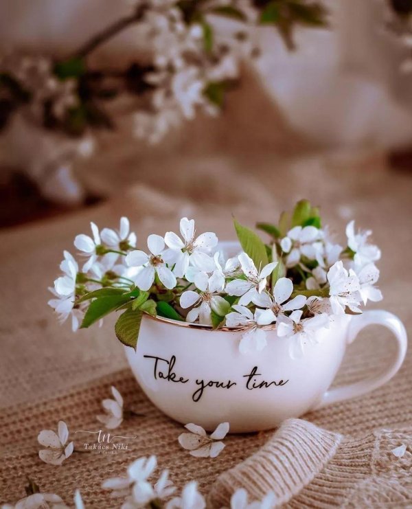 доброго утра весны