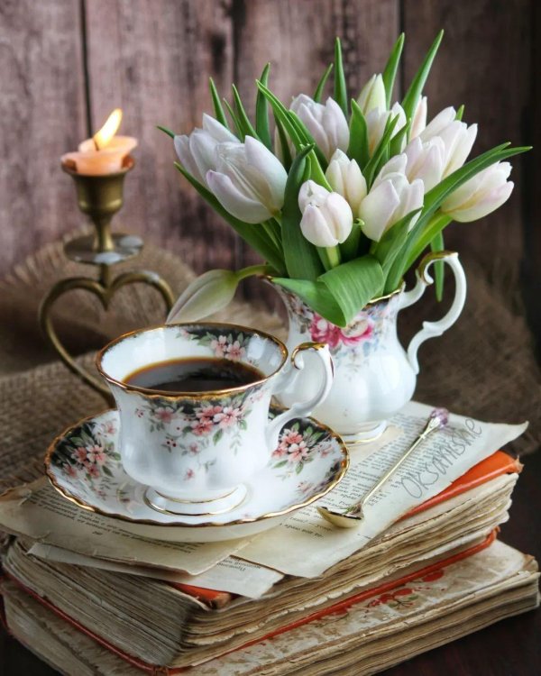 чайные тюльпаны