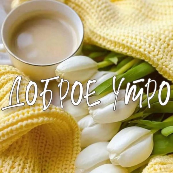 добра утра