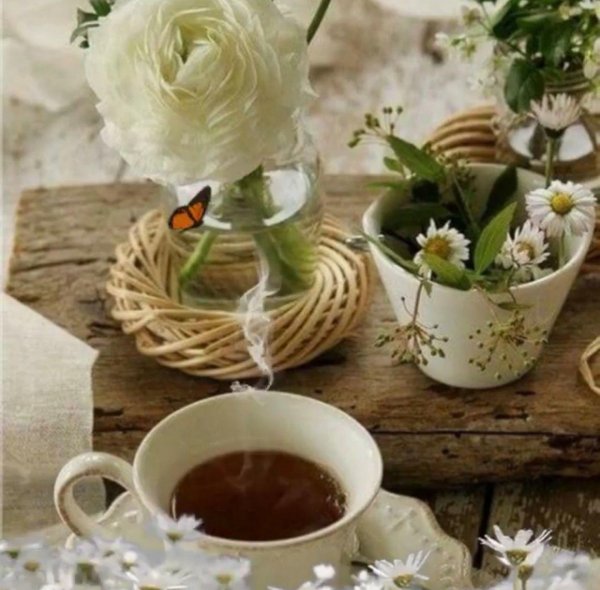 ромашка чай