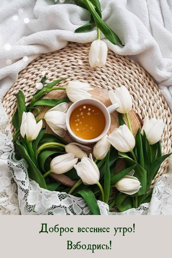 добрейшего весеннего утра