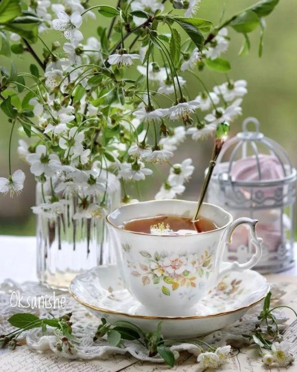весенняя чашка чая