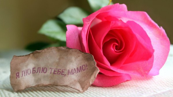 люблю тебя мамочка