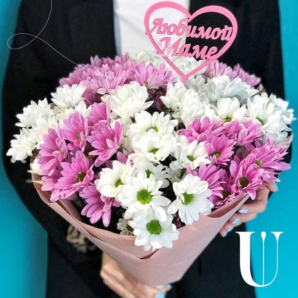 хризантема букетная торжество