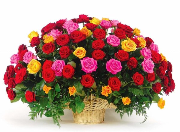 розы в корзине
