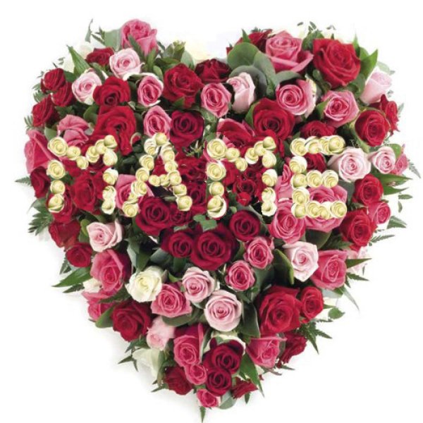 цветок мамино сердце