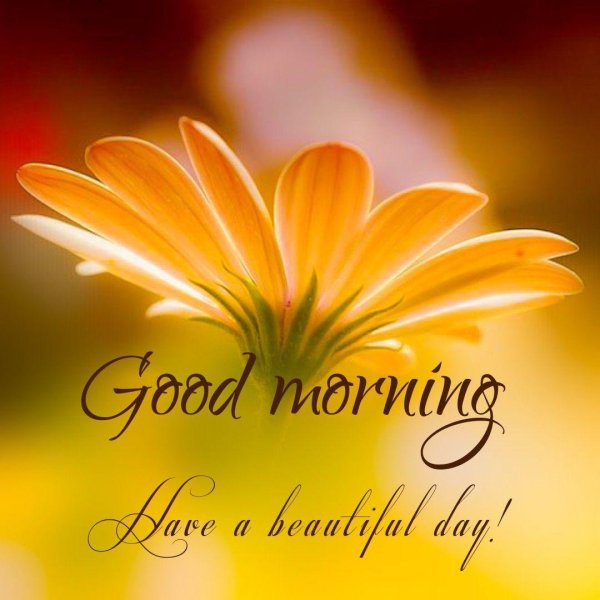 good morning beautiful