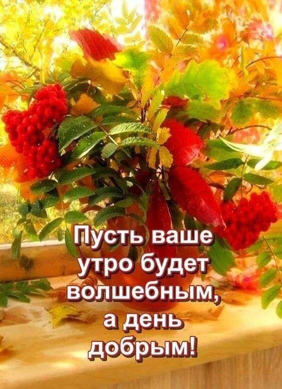 добрейшего осеннего утра