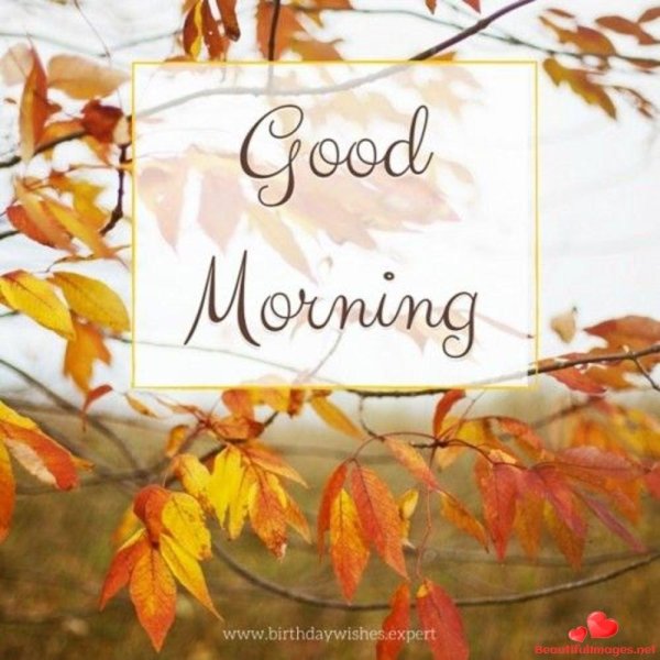 осень по английски