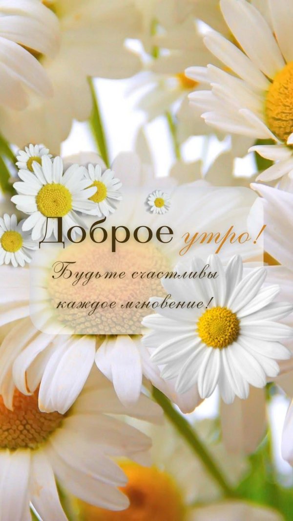 доброе летнее утро пожелания