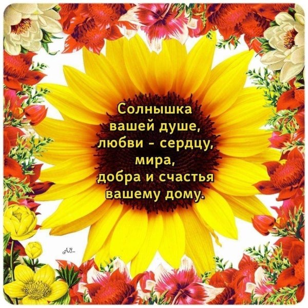 солнышка в душе
