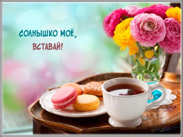солнышко моё вставай