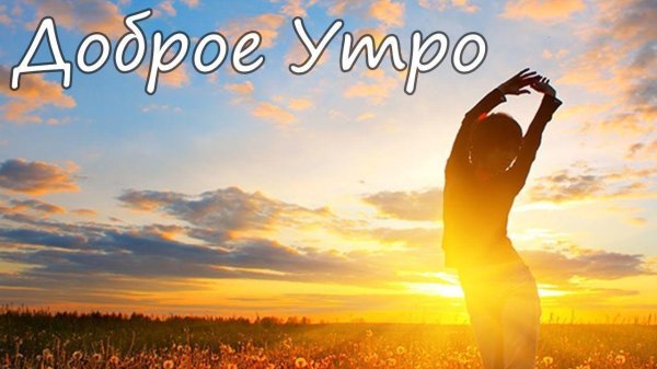 счастье солнце