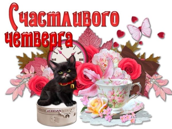 чудесного четверга