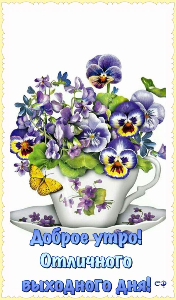 анютины глазки