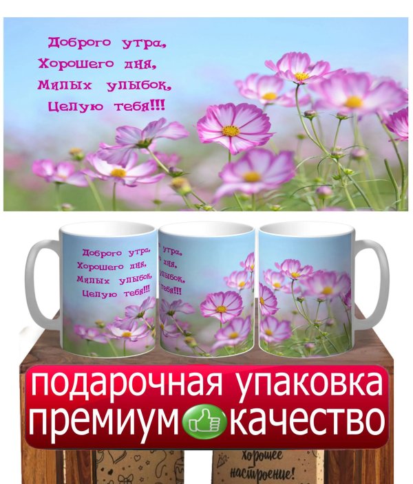 кружка космея