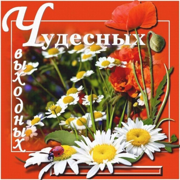 открытка лето