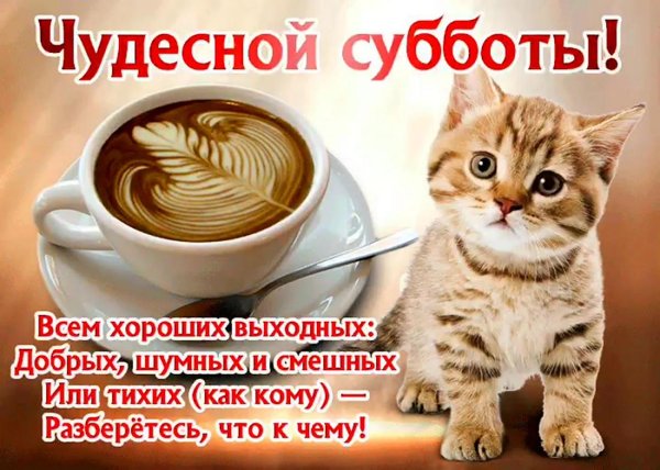 доброго утра в субботу