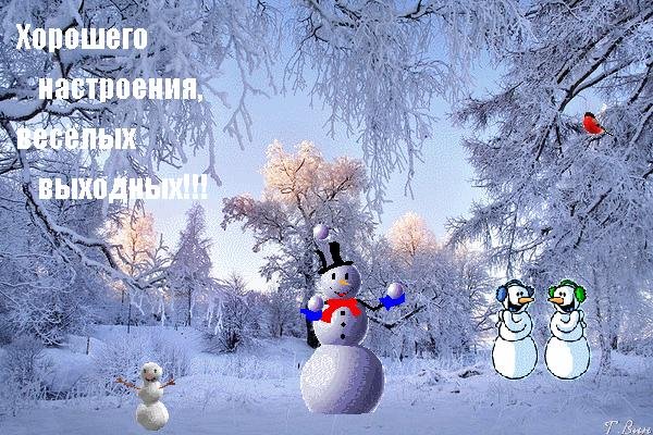 прекрасных зимних выходных