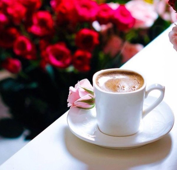 кофе и цветы