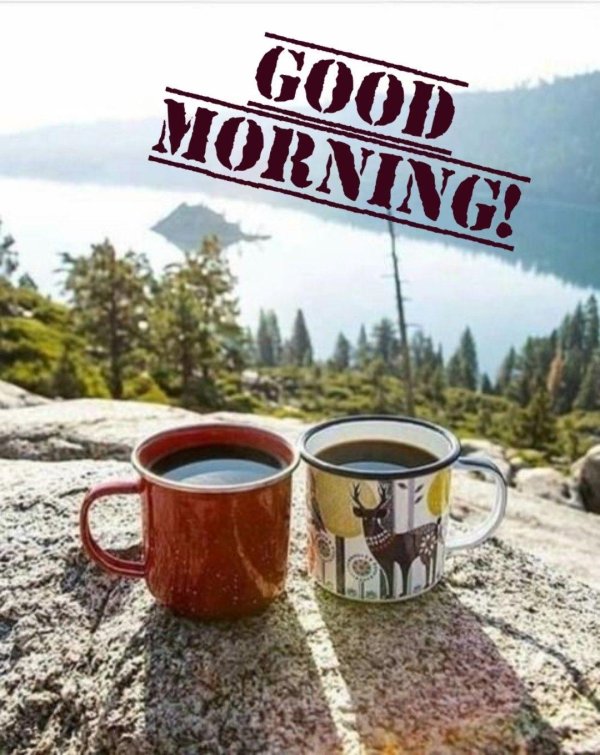 good morning morning