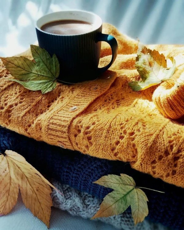 добрейшего осеннего утра