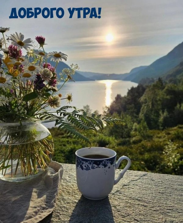 добра утра