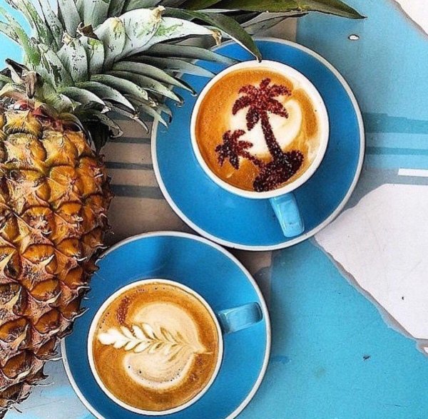 доброе утро пальмы