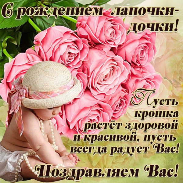 с рождением дочки поздравление