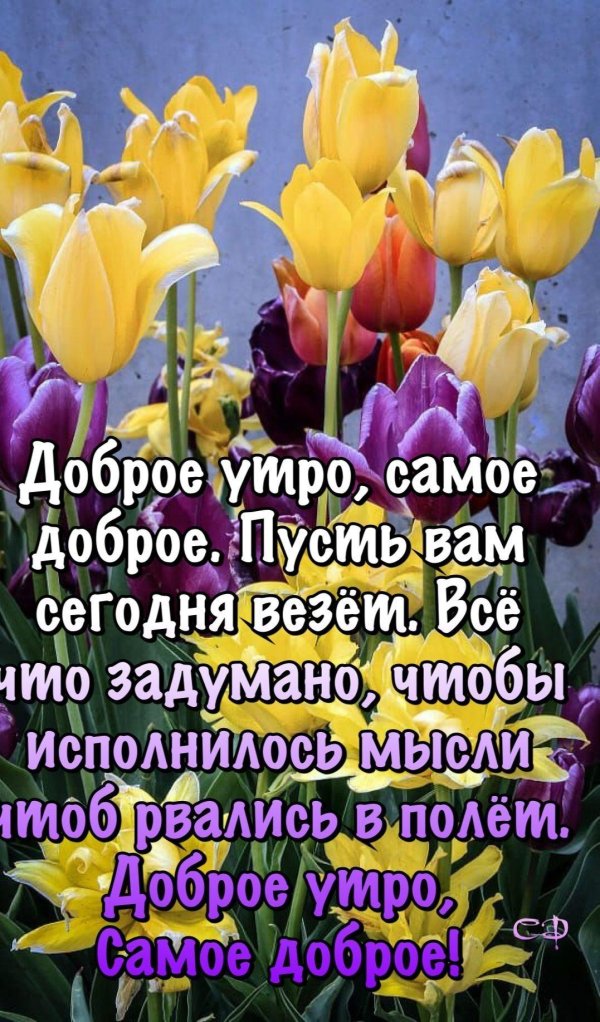 доброе утро и хорошего дня новые