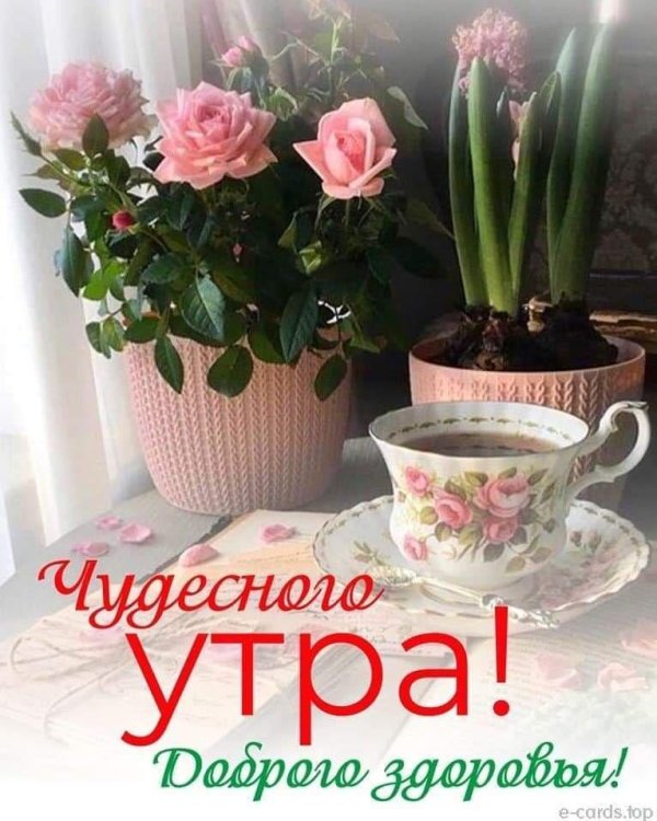 чудесного утра
