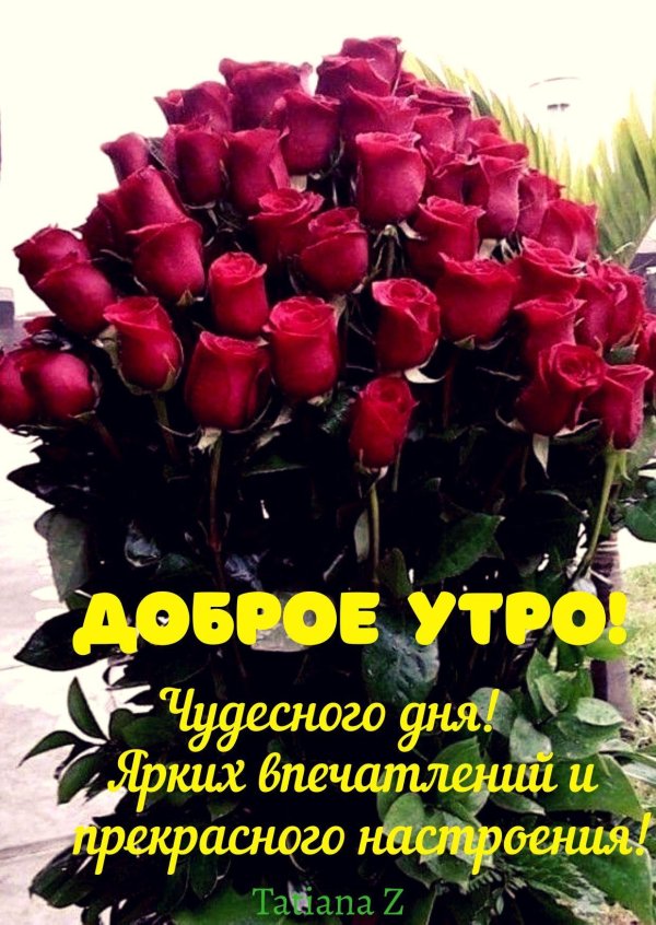 утренний букет