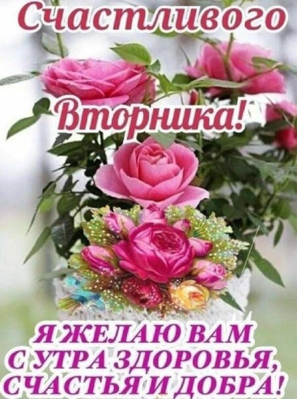 добрейшего вторника