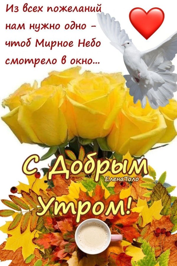 доброе утро осеннее здоровья и мира