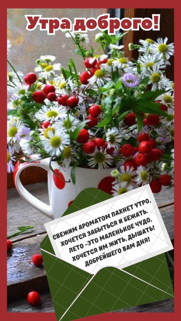 доброго утра лето